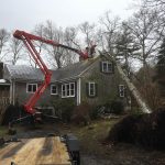 Emergency Tree Service When Every Minute Counts