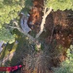 5 Reasons Emergency Tree Removal is Crucial for Your Property’s Safety