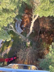 Read more about the article 5 Reasons Emergency Tree Removal is Crucial for Your Property’s Safety